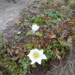 Beskid Źywiecki 24.9. – 28.9.2020, zájezd KPEV