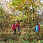 Buchlovský kámen - Brdo - Roštín 23.10.2022