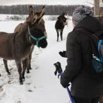 Fotoreport - vycházka Chrochrobar 5.1.2019