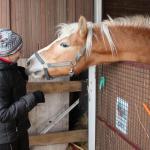 Fotoreport - vycházka Chrochrobar 5.1.2019