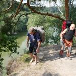 Štampach- skály nad rybníkem Štampach