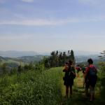 otevírají se pohledy z vrcholu Štípa (707 m.n.m.)