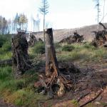 Přes Komonec na Malenisko - neděle 27.11.2022