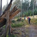 Přes Komonec na Malenisko - neděle 27.11.2022