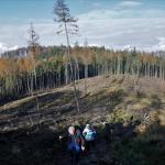 Přes Komonec na Malenisko - neděle 27.11.2022