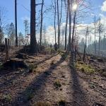 Přes Komonec na Malenisko - neděle 27.11.2022