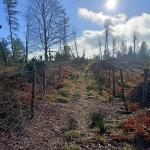 Přes Komonec na Malenisko - neděle 27.11.2022