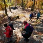 Přes Mladcovské kopce a skalky 28.10.2021