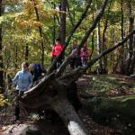 Přes Mladcovské kopce a skalky 28.10.2021