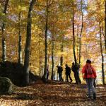 Přes Mladcovské kopce a skalky 28.10.2021