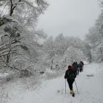 Přes  Novou Dědinu na Žlutavu – neděle 21.1.2023