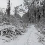 Přes  Novou Dědinu na Žlutavu – neděle 21.1.2023