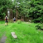 Těšínské Beskydy - Javorový vrch 9.6.2018