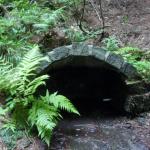 studánka