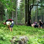 Těšínské Beskydy - Javorový vrch 9.6.2018