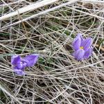 Vařákovy paseky a Lačnovské skály25.3.2018