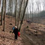 cesta od Štákova vršku do Kostelce