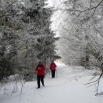 Vycházka Pulčínské ledopády 3.3.2018