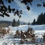 Vycházka Pulčínské ledopády 3.3.2018