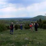 Takový ráz má Plešivecká planina nahoře.