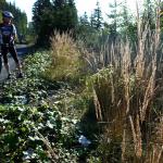 Neznámá cyklistka: nebo známá?